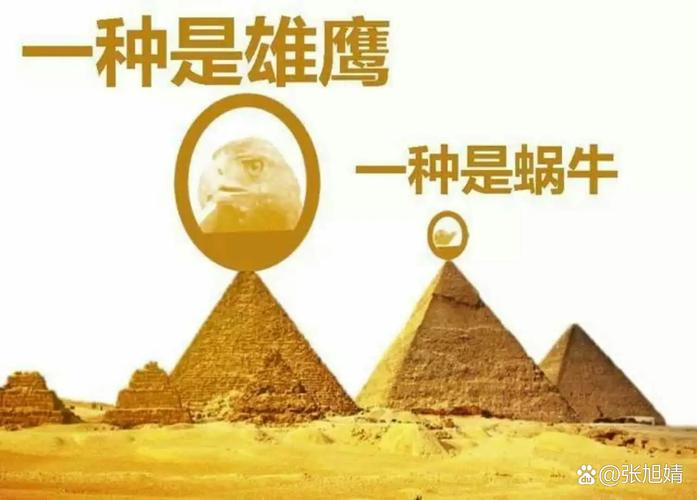 征服金字塔的蜗牛 第1张 征服金字塔的蜗牛 第1张