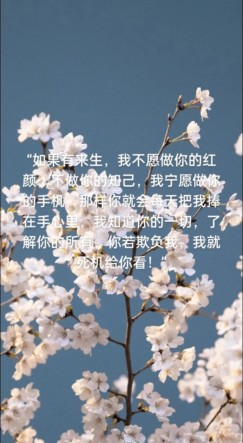 红颜易找，知己难求，别因“新鲜感”，就忘记了初心  第1张