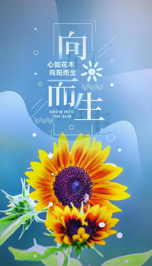 描写向日葵的优美句子  第1张