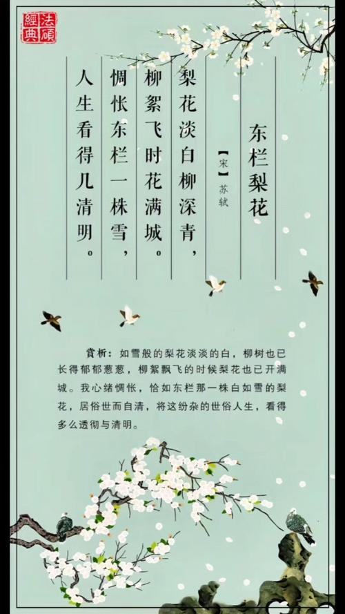 风吹棠梨花，十二首棠梨花的诗词，满树花开，洁白胜雪  第1张
