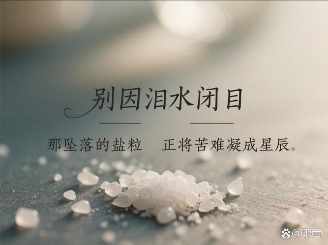 不过是流着眼泪吃着肉  第1张