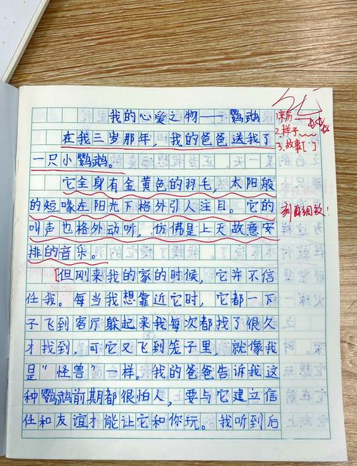 描写鹦鹉的作文（精选30篇）  第1张