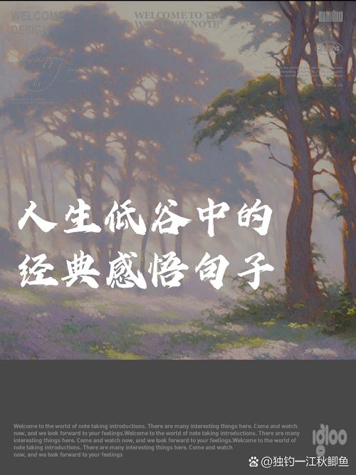 人生低谷期最激励你的一句话】 在人生的道路上  第1张
