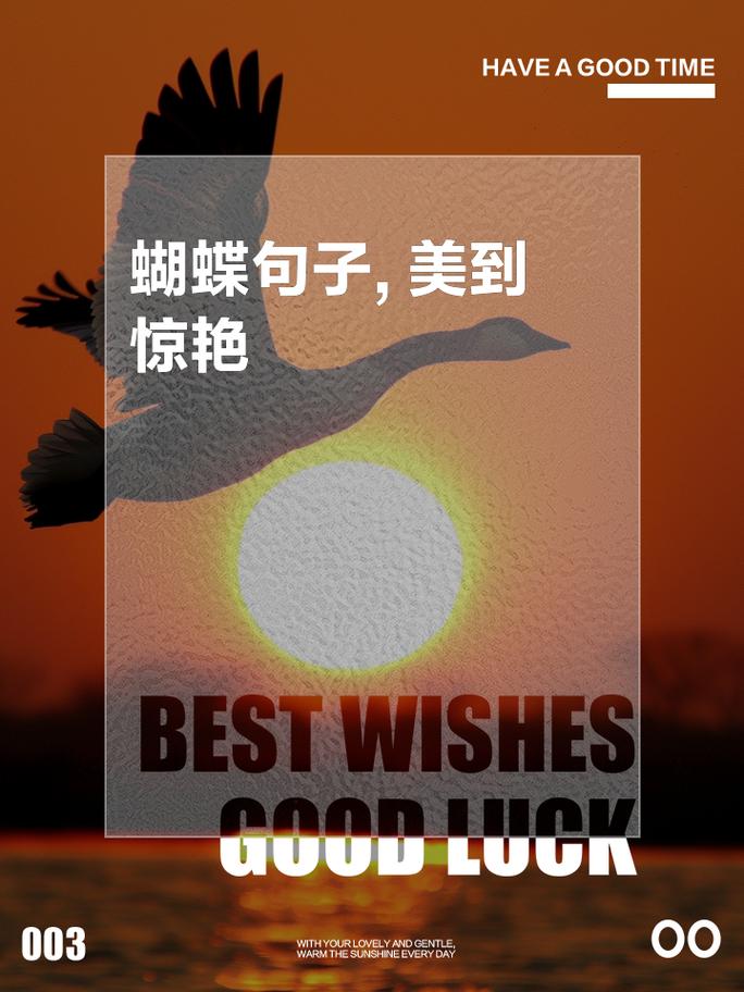 关于蝴蝶的佳句：绚丽飞舞，蝶翼羽化  第1张