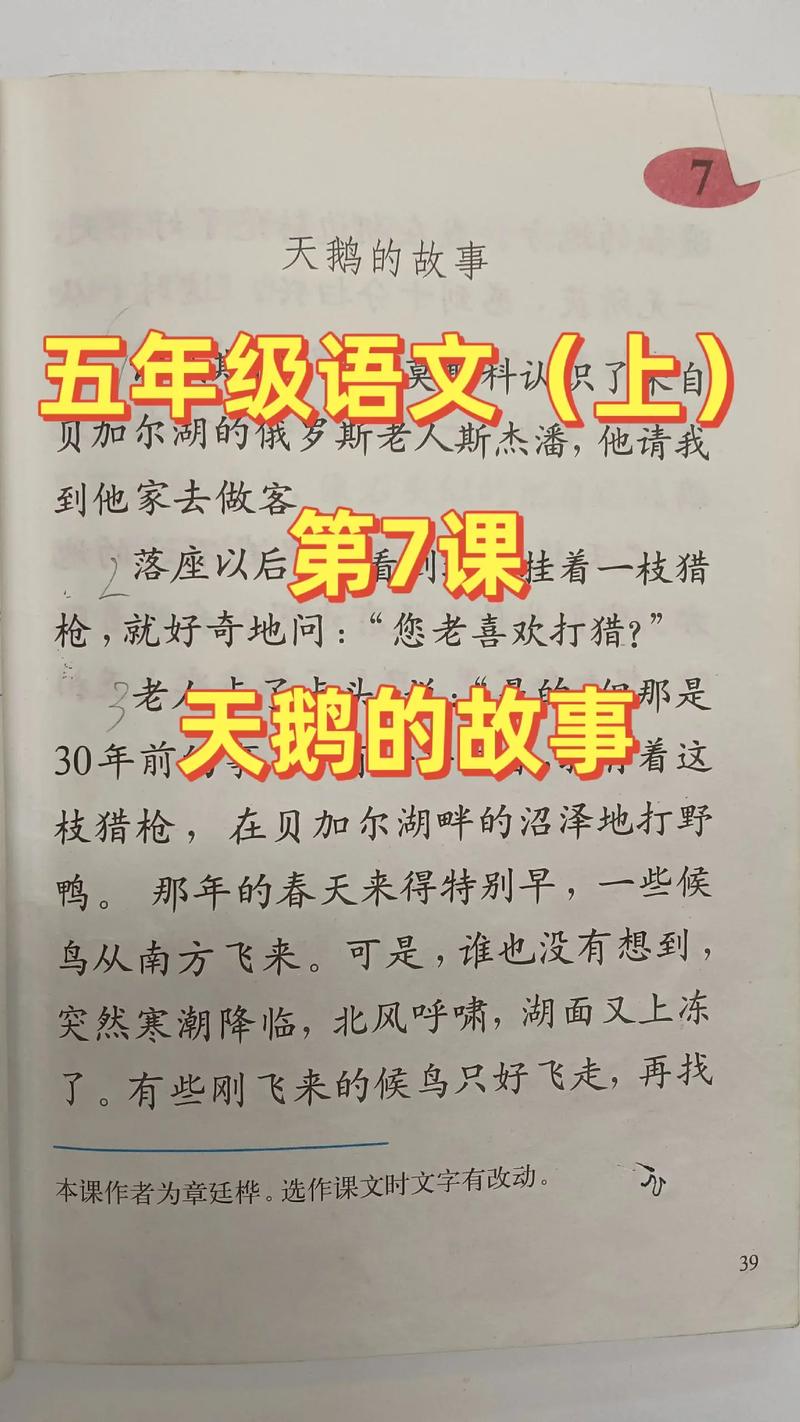 青未了/散文《天鹅海》  第1张