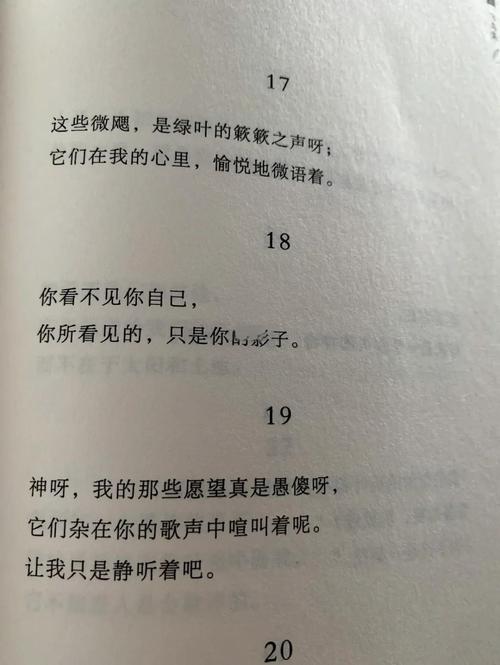 抒情诗：八歌——献给鸟的歌（之三）  第1张