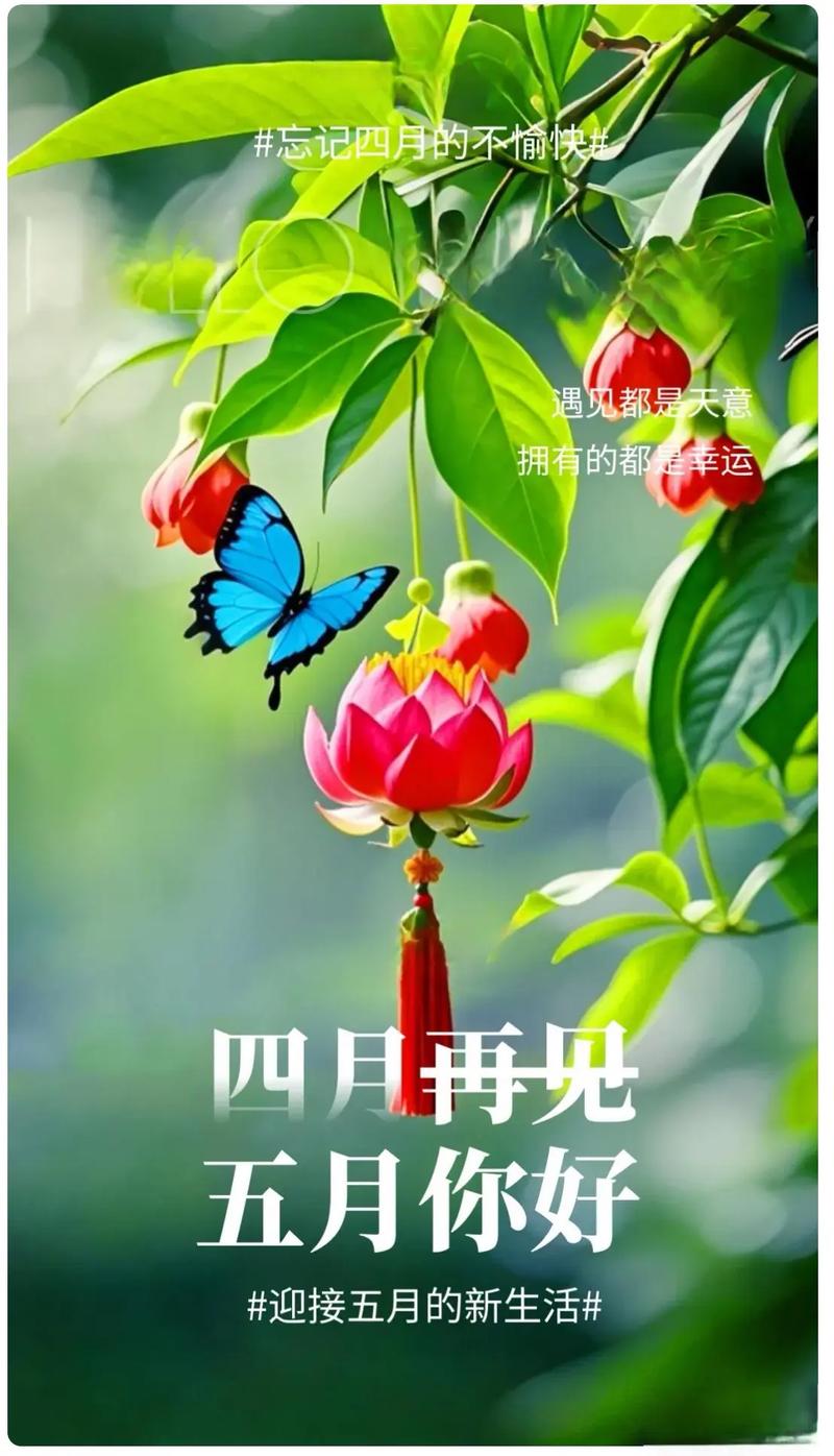 再见啦四月，五月你好！月总结和我的五月插图日历  第1张