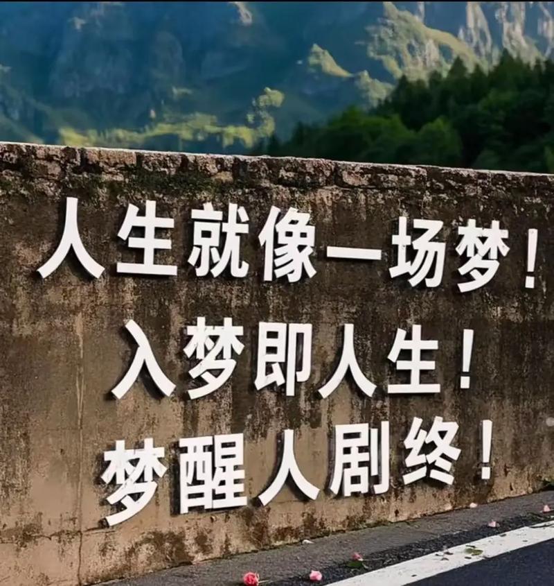 人生有梦,别样深情 第1张 人生有梦,别样深情 第1张