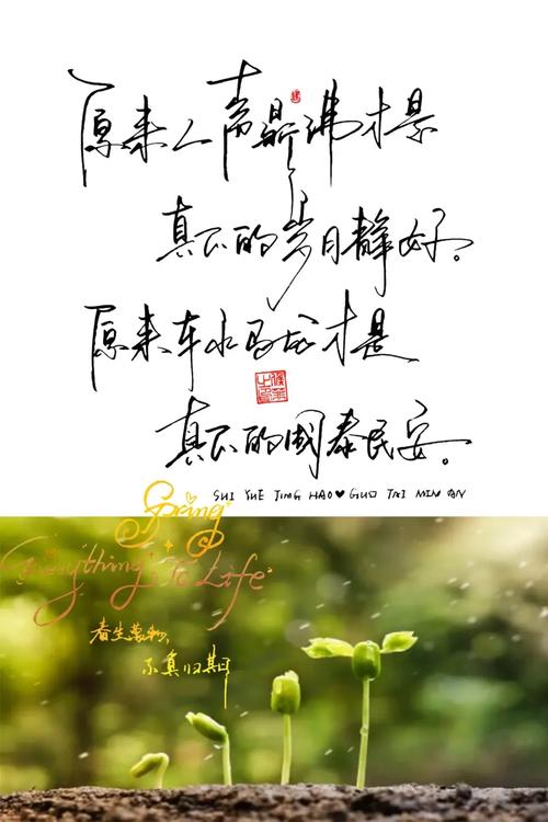 疫情解封后的文案（关于疫情解封的文案短句）  第1张
