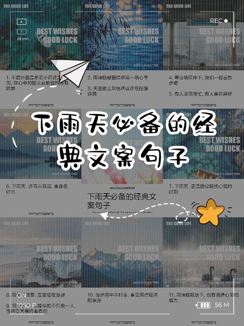 这是一个很长的文案，这是小雨跟2020的故事  第1张