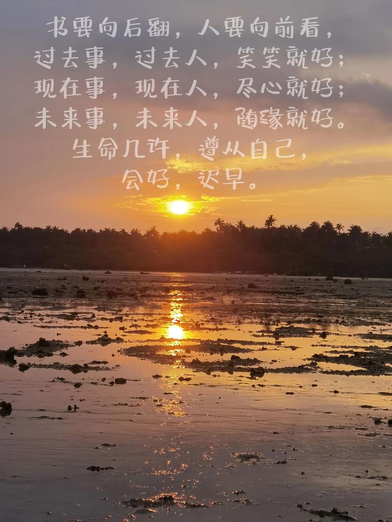 写给自己|明天会更好 第1张 写给自己|明天会更好 第1张