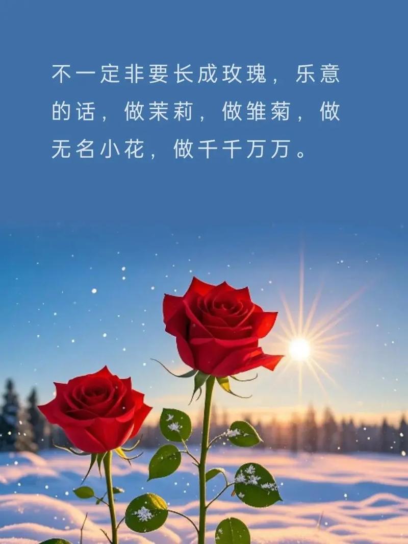 世界上所有的惊喜和好运，都是你累积的温柔和善良 励志语录  第1张