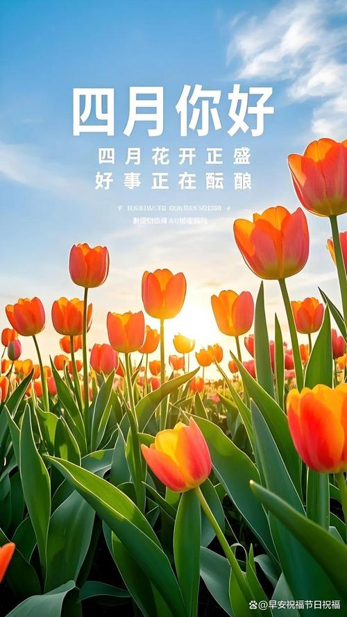 最美人间四月天,发朋友圈的20个句子,每一句都很惊艳 第1张 最美人间四月天,发朋友圈的20个句子,每一句都很惊艳 第1张