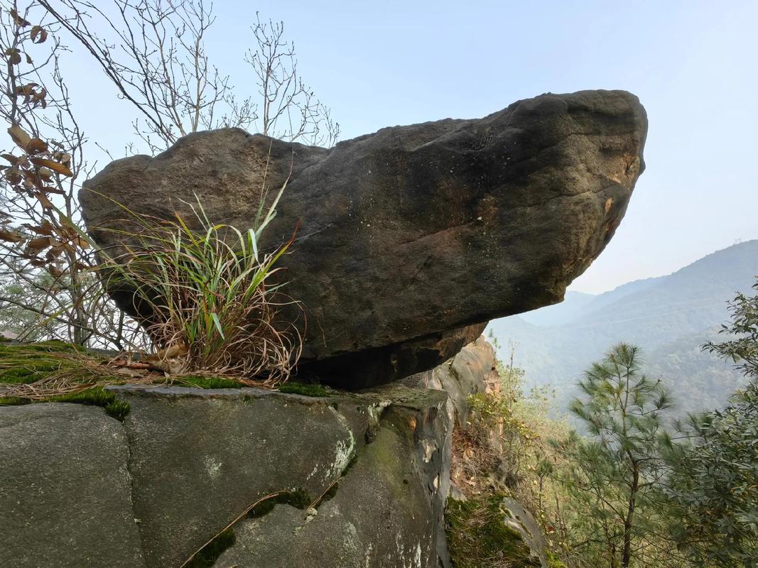 一座山，一块石，一棵树  第1张
