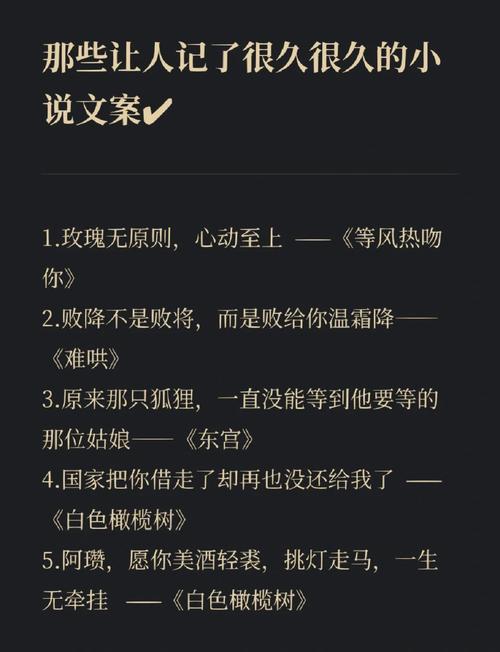 “小说中能记很久的绝佳句子”  第1张