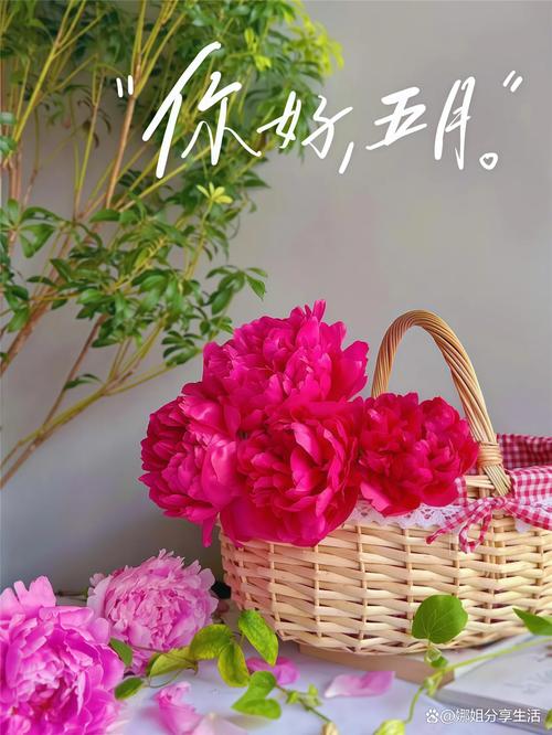 温柔唯美的五月文案 第1张 温柔唯美的五月文案 第1张