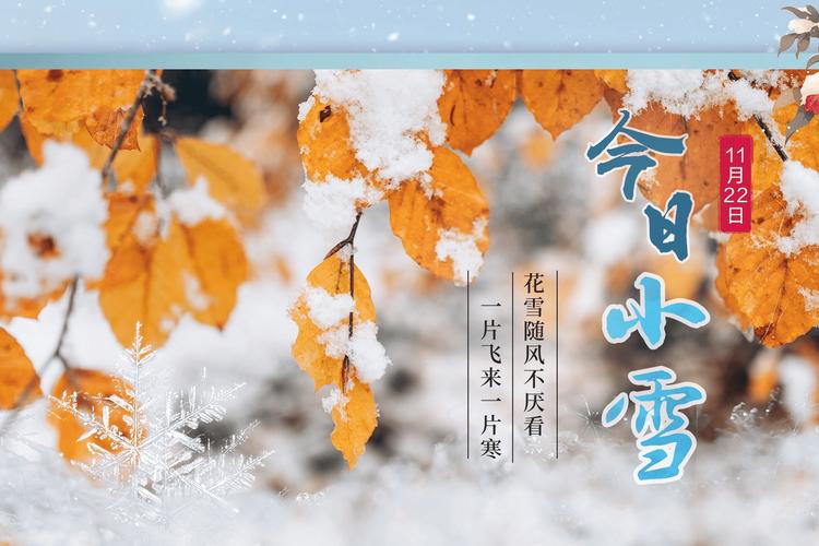 初冬浅浅,此刻正好 第1张 初冬浅浅,此刻正好 第1张