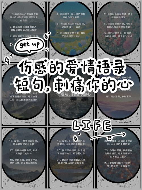 伤感语录特辑——我爱你不后悔也尊重故事结尾，再见不负遇见  第1张
