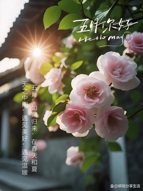 迎接五月的文案 | 清新美好，温柔治愈  第1张
