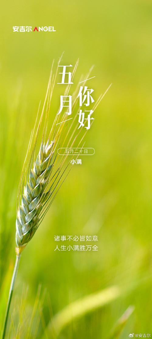 高级小众的五月文案  第1张