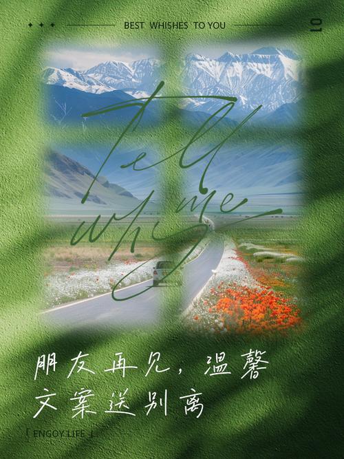 好好说再见,得体告别,才不负遇见 第1张 好好说再见,得体告别,才不负遇见 第1张