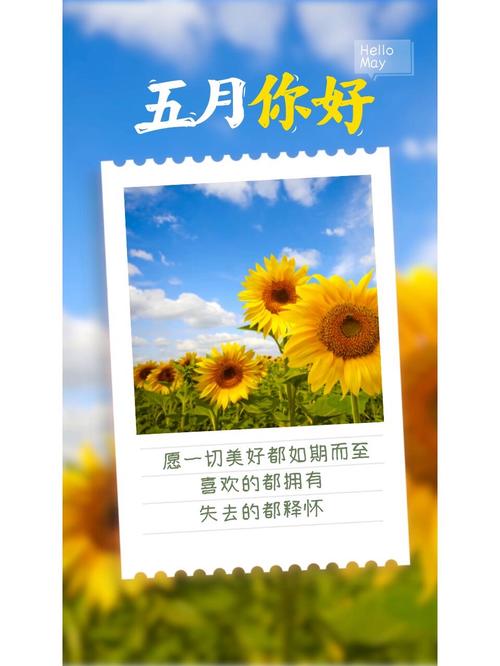 30句适合五月的诗意文案,愿所有的美好都如约而至 第1张 30句适合五月的诗意文案,愿所有的美好都如约而至 第1张