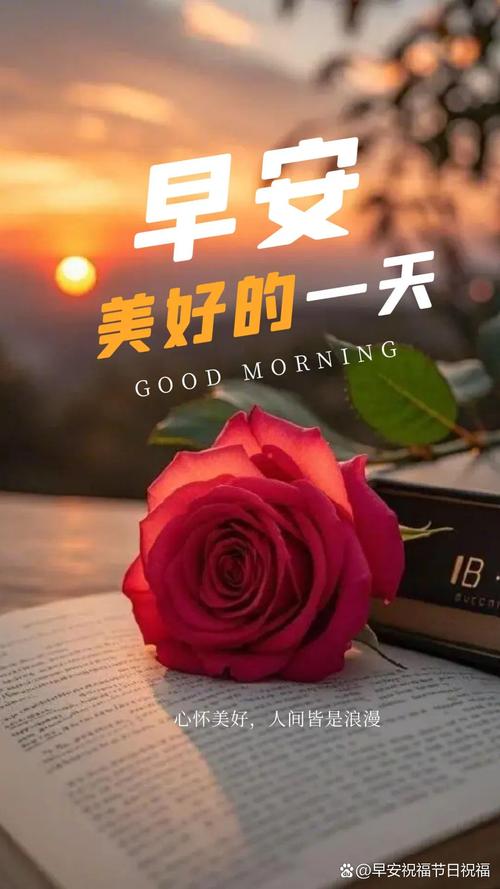 人生很短,凡事别太认真,苦了心,累了自己,早安 第1张 人生很短,凡事别太认真,苦了心,累了自己,早安 第1张