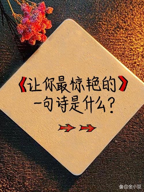 情绪文案｜山有木兮木有枝 心悦君兮君不知  第1张