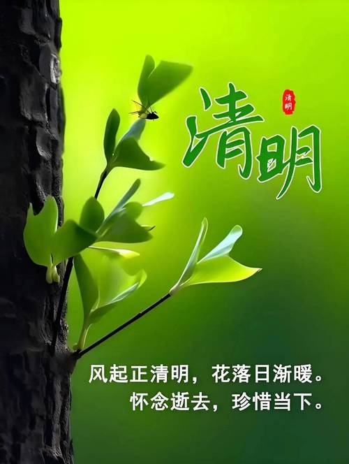 清明节悼念亲人文案 第1张 清明节悼念亲人文案 第1张