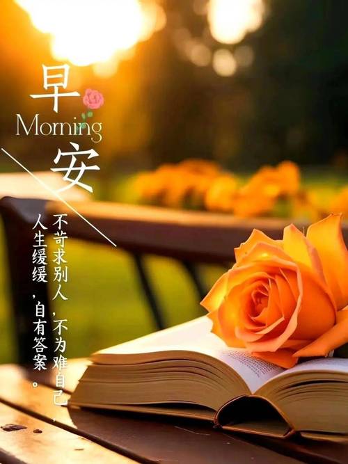 早安正能量坚强语录句子,朝向阳光,不负自己 第1张 早安正能量坚强语录句子,朝向阳光,不负自己 第1张