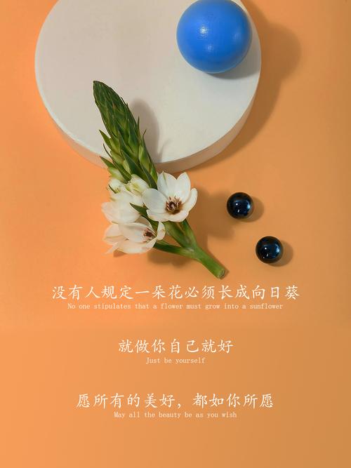 一瞬间释然的句子，句句通透，让你成长  第1张