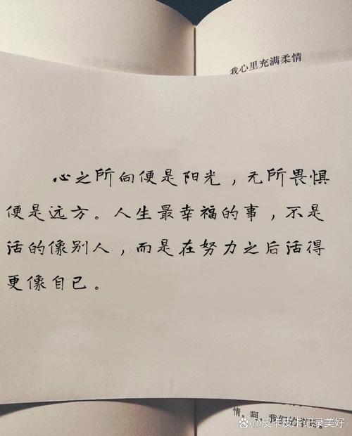 内心充满阳光的励志短句,善良温和,坦荡生活 第1张 内心充满阳光的励志短句,善良温和,坦荡生活 第1张