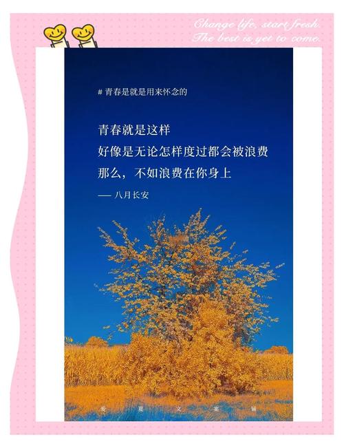 青春活力的正能量句子,精致简洁,激发斗志! 第1张 青春活力的正能量句子,精致简洁,激发斗志! 第1张