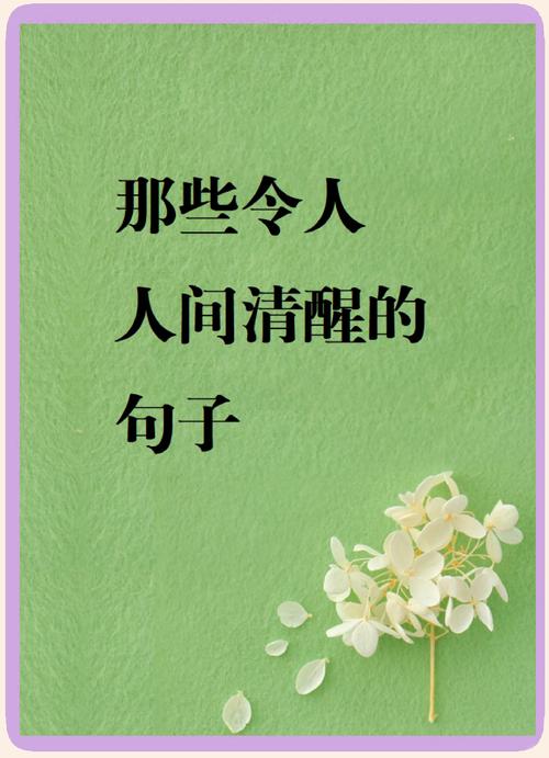 人间清醒的高级文案之善良 第1张 人间清醒的高级文案之善良 第1张