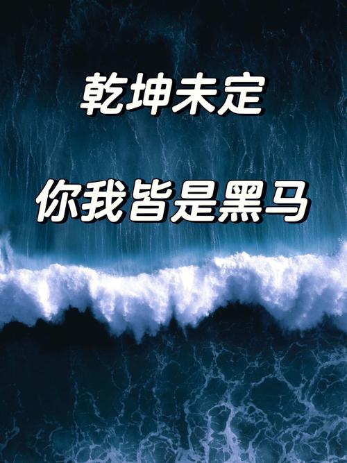 乾坤未定,你我皆是黑马 第1张 乾坤未定,你我皆是黑马 第1张