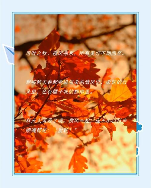 8月12号文案 | 秋天的温暖祝福,愿你幸福常伴 第1张 8月12号文案 | 秋天的温暖祝福,愿你幸福常伴 第1张