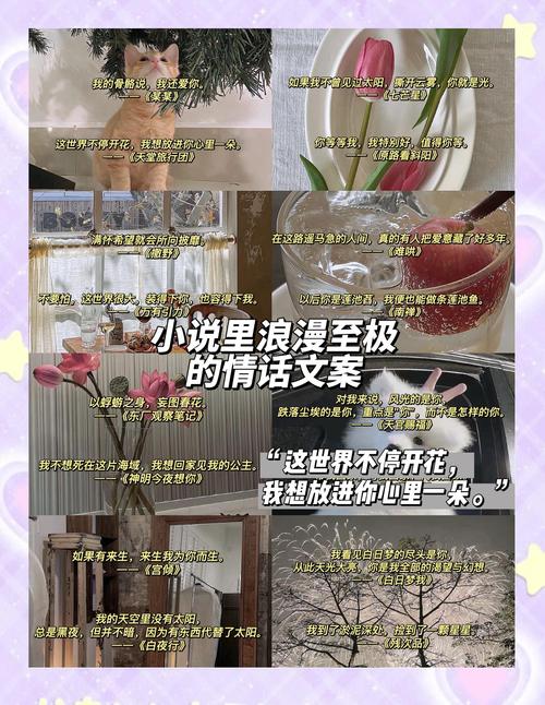 那些小说里的惊艳文案 第1张 那些小说里的惊艳文案 第1张
