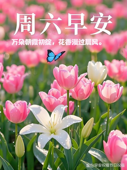微信早上好句子 周六分享朋友圈早安心语短句 春暖花开明天会更好  第1张