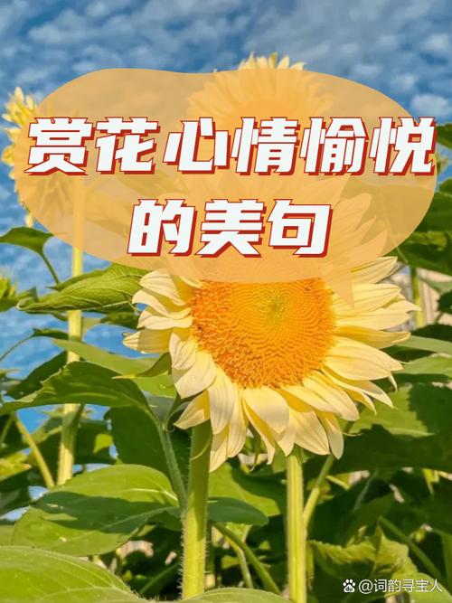 晒赏花照，别再说“我拍的花”了，记住40句赏花文案，温馨不俗套  第1张