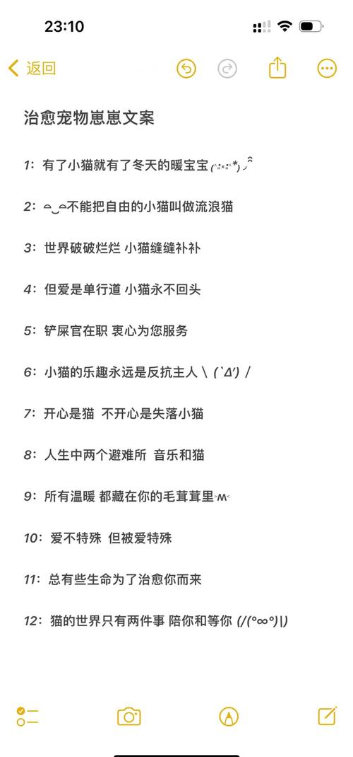 宠爱如初，感动心灵的宠物情感文案  第1张
