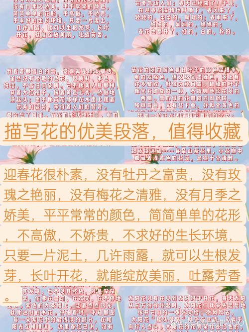 30句生活与花的唯美句子，愿我们生活像花儿一样盛开  第1张