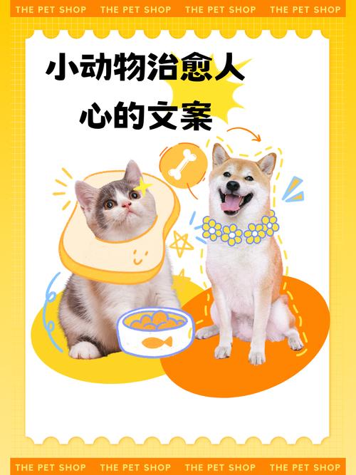 适用于晒宠物的暖心短句  第1张