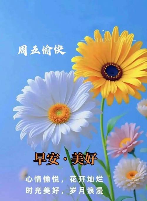周五早安精美温馨祝福:生活航程有彩云清风繁星,愿你喜悦盈心 第1张 周五早安精美温馨祝福:生活航程有彩云清风繁星,愿你喜悦盈心 第1张