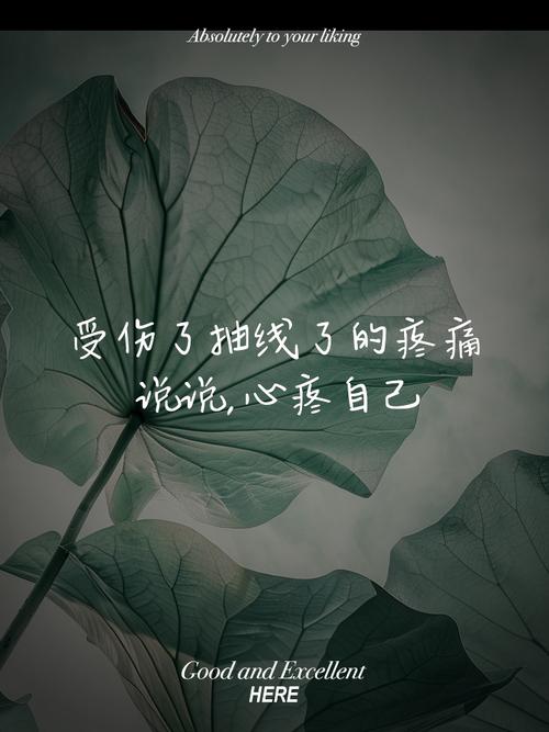 一个人默默承受伤痛的句子,送给深夜无眠的自己 第1张 一个人默默承受伤痛的句子,送给深夜无眠的自己 第1张