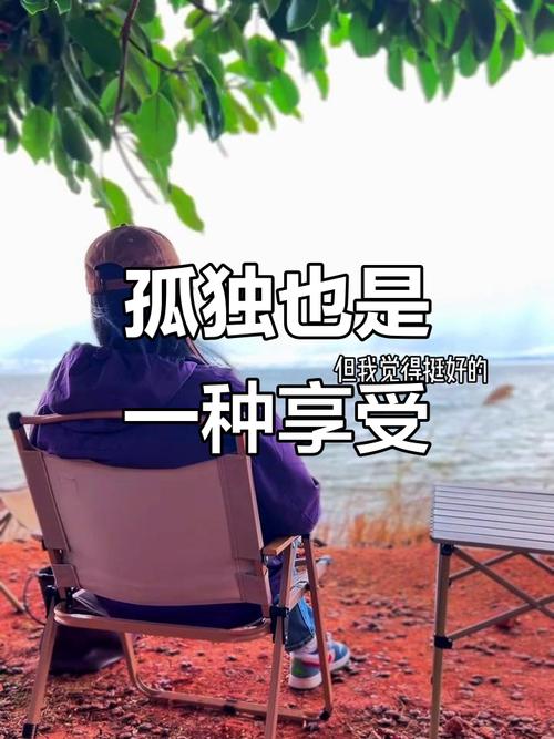 没有人陪你走一辈子，所以你要适应孤独  第1张