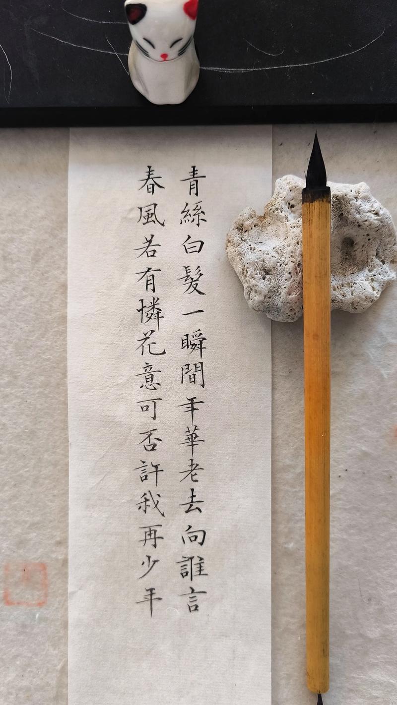 水流花落几多伤,已去无踪影,唯有青丝染白霜 第1张 水流花落几多伤,已去无踪影,唯有青丝染白霜 第1张