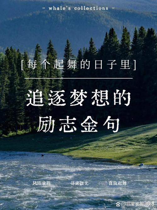 关于梦想的神级台词 第1张 关于梦想的神级台词 第1张