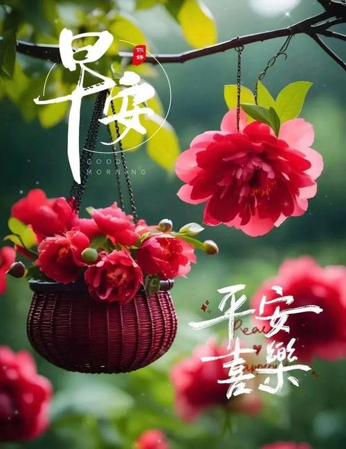 9.26,我祝福愿你:身安、心安、早安、晚安、一生平安 第1张 9.26,我祝福愿你:身安、心安、早安、晚安、一生平安 第1张