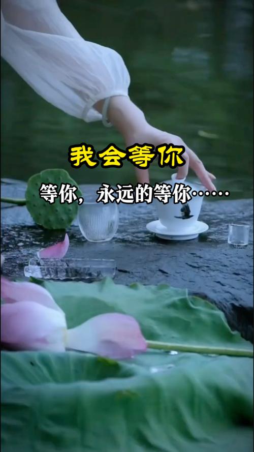 等你盼你，一往情深，想你永远  第1张