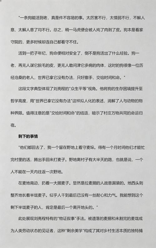 《一个人的村庄》精选语录  第1张